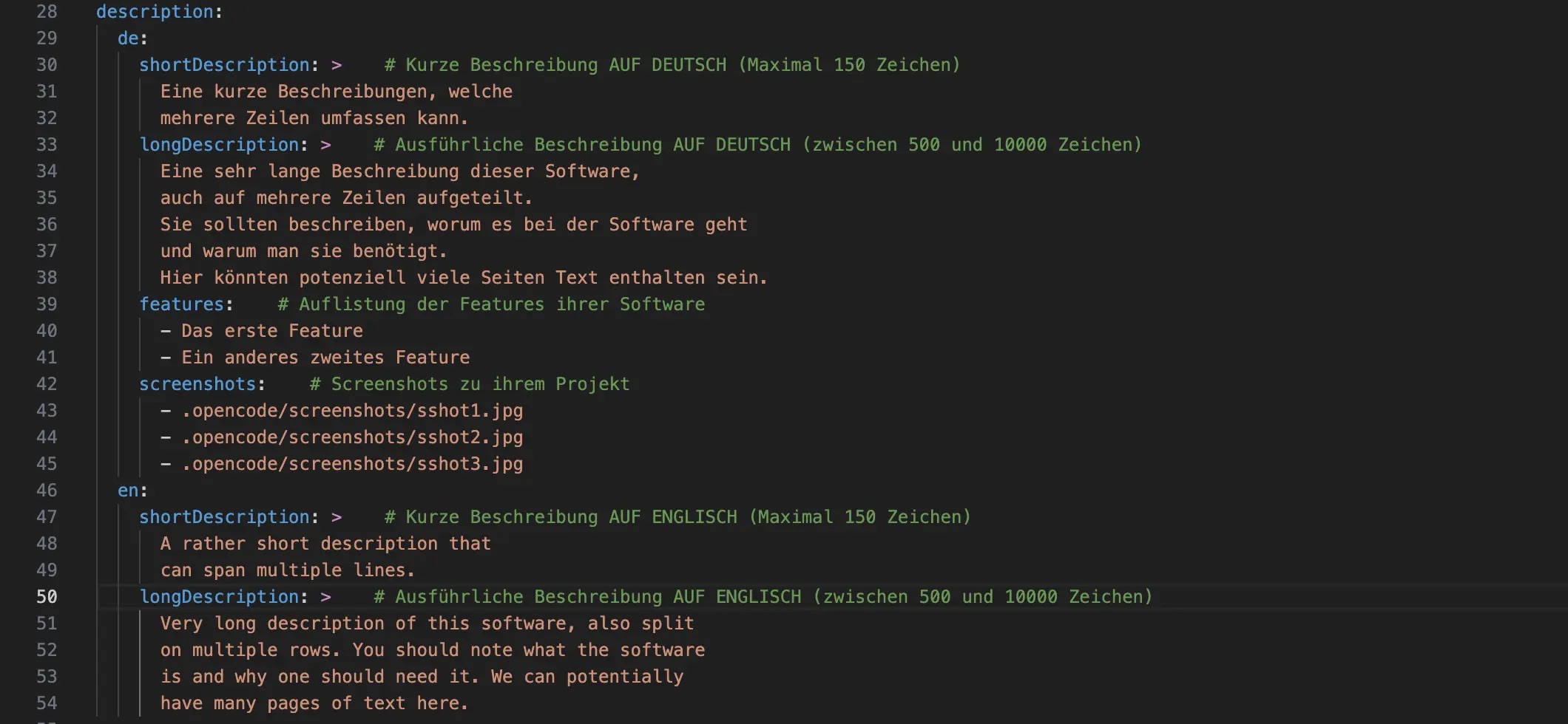 "Screenshot dazu, wie man die Projektbeschreibung ausfüllt"